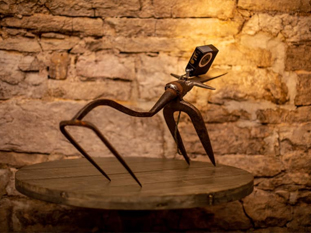 Solenza 21 création