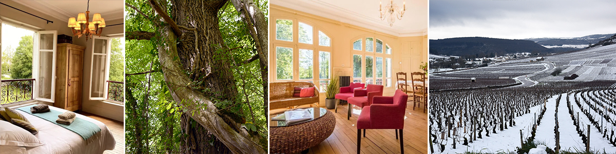 Villa du Parc Gîte de France / Rozenn Krebel Immersion dans la nature